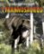 Tyrannosaurus - Tyranský ještěr