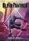 Marvel Action - Black Panther - Bouřlivé počasí
