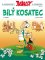 Asterix 40 - Bílý kosatec Asterix 40 - Bílý kosatec
