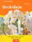 Orchideje Orchideje