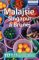 Malajsie, Singapur, Brunej - Lonely Planet Malajsie, Singapur, Brunej - Lonely Planet