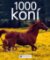 1000 koní - 2. vydání