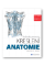 Praktický průvodce kreslení - Anatomie Praktický průvodce kreslení - Anatomie