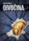 Divočina Divočina