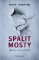 Spálit mosty