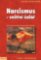 Narcismus - vnitřní žalář Narcismus - vnitřní žalář