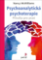 Psychoanalytická psychoterapie - Příručka pro praxi Psychoanalytická psychoterapie - Příručka pro praxi