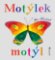 Motýlek motýl Motýlek motýl