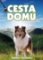 Cesta domů Cesta domů