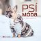 Psí móda Psí móda