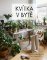 Kvítka v bytě Kvítka v bytě