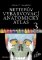 Netterův vybarvovací anatomický atlas