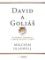 David a Goliáš - Outsideři, odpadlíci a umění bojovat s obry David a Goliáš - Outsideři, odpadlíci a umění bojovat s obry