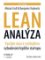 Lean analýza Lean analýza