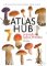 Atlas hub Atlas hub