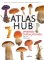 Atlas hub