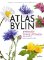 Atlas bylin Atlas bylin