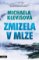 Zmizela v mlze
