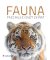 Fauna Fauna