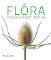 Flóra Flóra