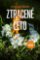 Ztracené léto Ztracené léto