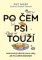 Po čem psi touží Po čem psi touží