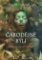 Čarodějné býlí Čarodějné býlí