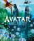Avatar - obrazový sprievodca Avatar - obrazový sprievodca