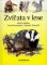 Zvířata v lese Zvířata v lese