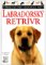 Labradorský retrívr Labradorský retrívr