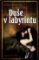 Duše v labyrintu Duše v labyrintu