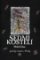 Sedmikostelí - gotický román z Prahy Sedmikostelí - gotický román z Prahy