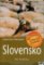 Slovensko - Turistický průvodce + DVD