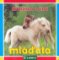 Hříbátka a jiná mláďata - leporelo Hříbátka a jiná mláďata - leporelo