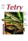 Tetry - Jak na to Tetry - Jak na to