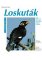 Loskuták - Jak na to