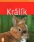 Králík