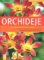 Orchideje - zahrada pro radost Orchideje - zahrada pro radost