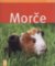 Morče Morče