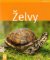 Želvy Želvy
