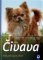 Čivava - Výběr, chov, výcvik, zábava Čivava - Výběr, chov, výcvik, zábava