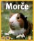 Morče - Správná péče, rady odborníka... Morče - Správná péče, rady odborníka...
