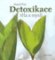 Detoxikace těla a mysli Detoxikace těla a mysli