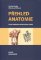 Přehled anatomie Přehled anatomie