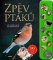Zpěv ptáků Zpěv ptáků