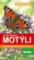 Motýli - Nejznámější denní a noční druhy