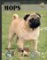 Mops