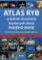 Atlas ryb a dalších živočichů korálových útesů Rudého moře - Praktická příručka pro vodní Atlas ryb a dalších živočichů korálových útesů Rudého moře - Praktická příručka pro vodní