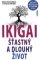 IKIGAI
