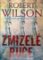Zmizelé ruce Zmizelé ruce